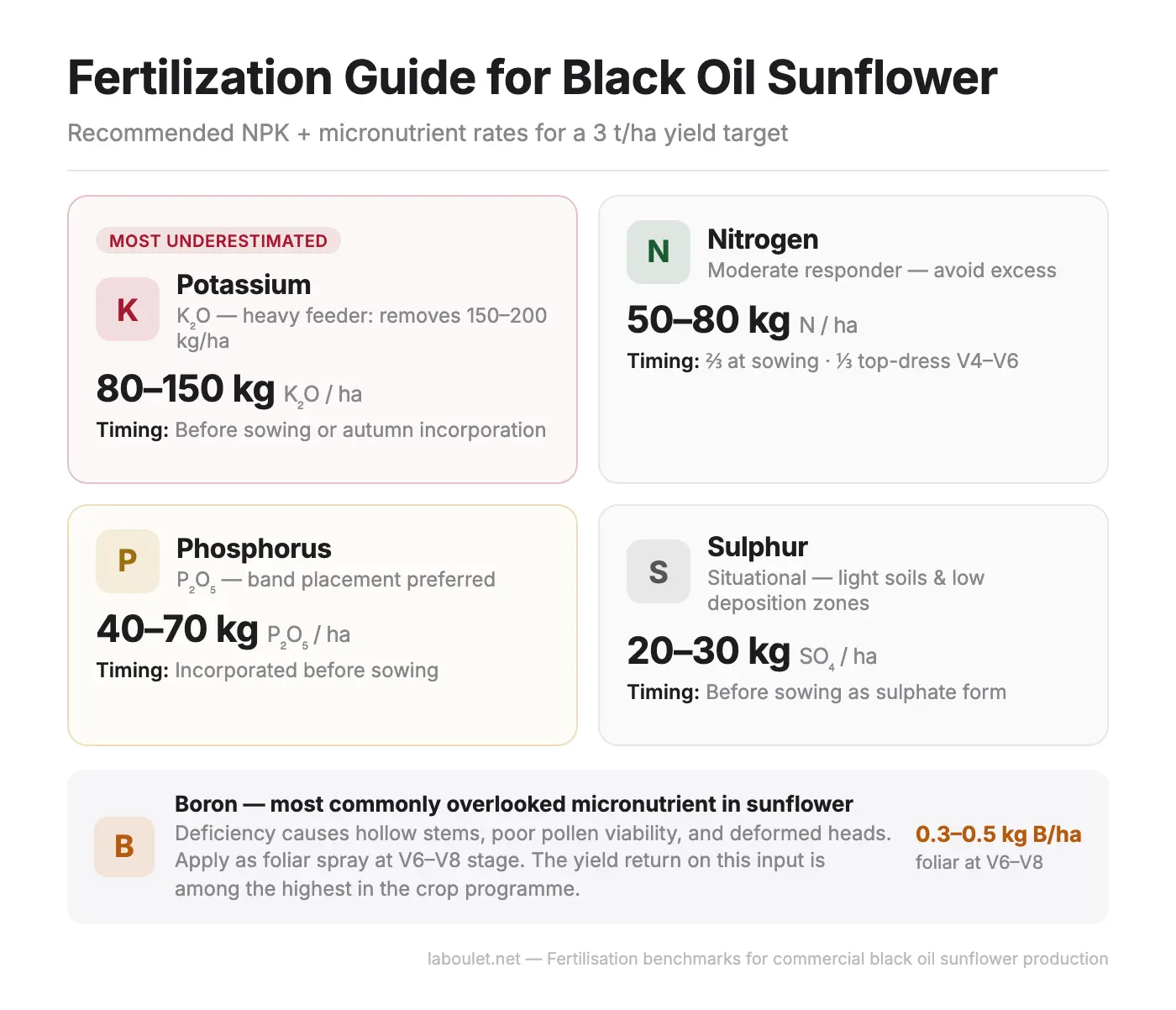 Fertilization guide for black oil sunflower showing NPK and Boron requirements with optimal application timing