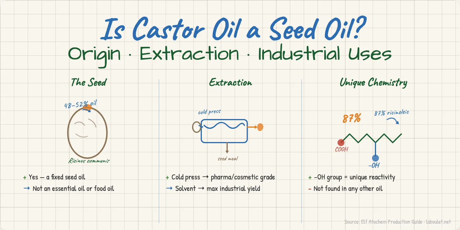 Infographic showing castor oil origin (seed), extraction method, and key industrial applications including Nylon 11, lubricants and cosmetics