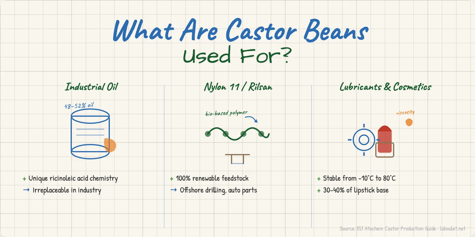 Infographic showing four main uses of castor beans: industrial oil, Nylon 11 polymer, cosmetics, and crop rotation benefits