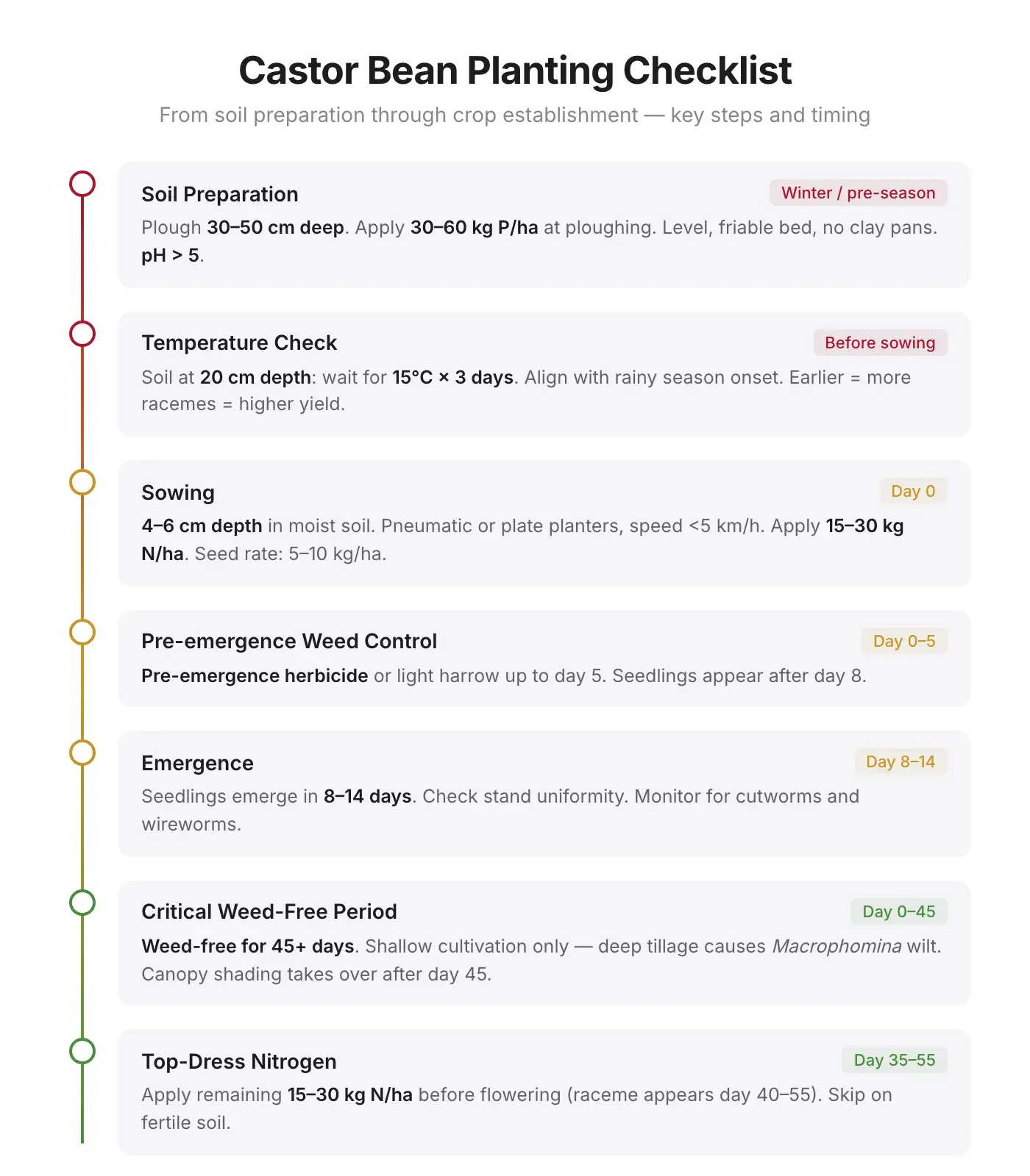 Step-by-step planting checklist for castor beans: soil prep, temperature check, sowing depth, spacing, and weed control timeline