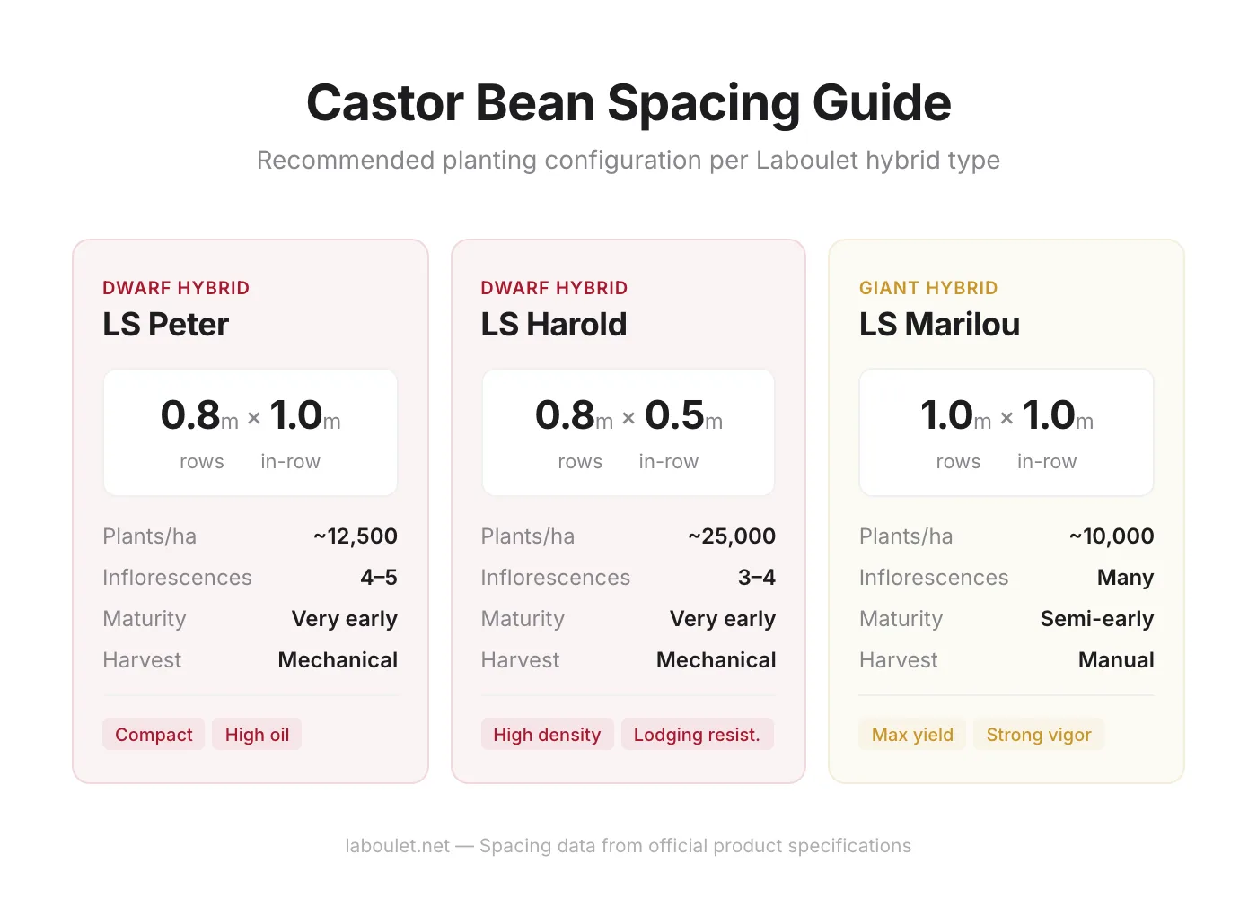 Comparison table showing recommended planting spacing for three Laboulet castor bean hybrids: LS Peter, LS Harold, and LS Marilou