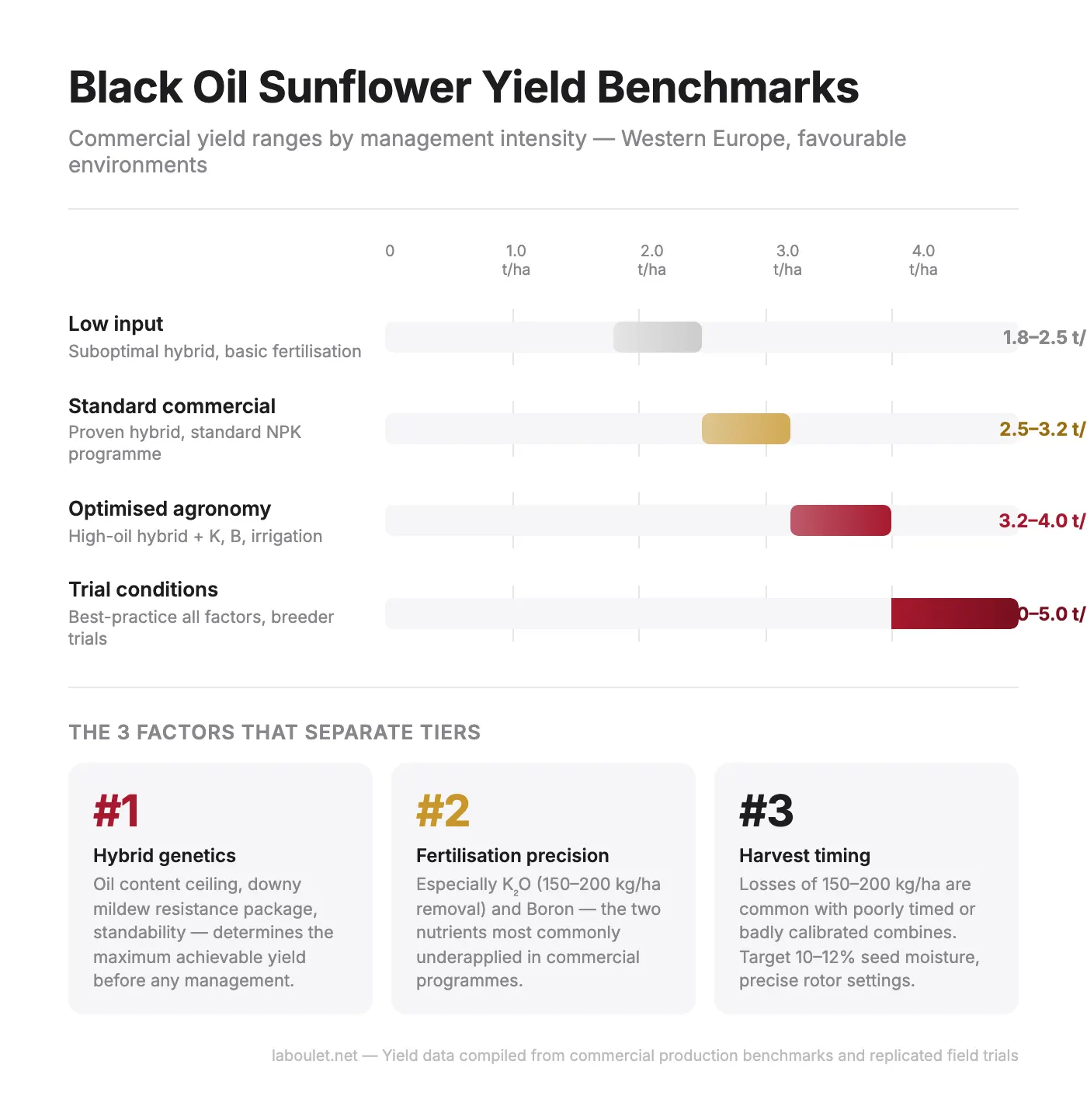 Yield benchmarks for black oil sunflower by management level, from low-input at 1.8–2.5 t/ha to optimised agronomy at 3.2–4.0 t/ha
