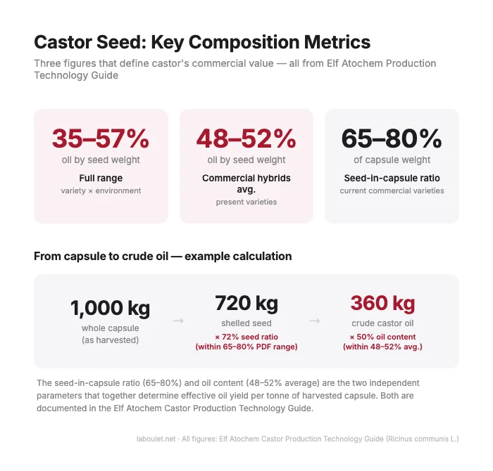 Castor seeds extracted from capsule showing the distinctive mottled seed coat — the source of castor oil with 48–52% oil content in commercial hybrids